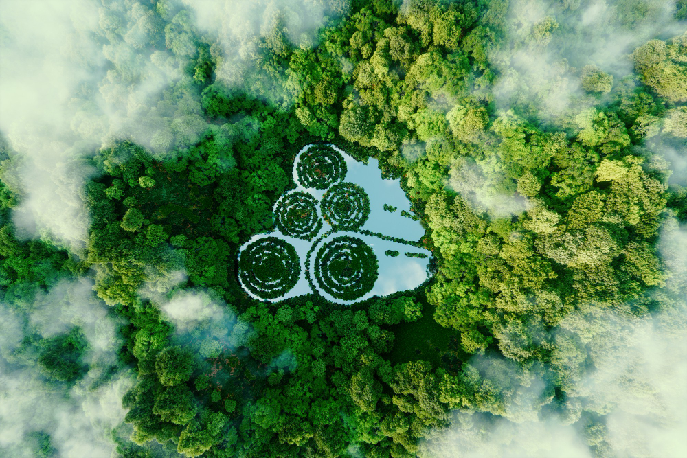 Zarządzanie Zrównoważonym Rozwojem